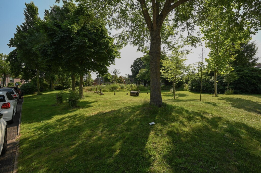 De Vijnen 2 - foto 32