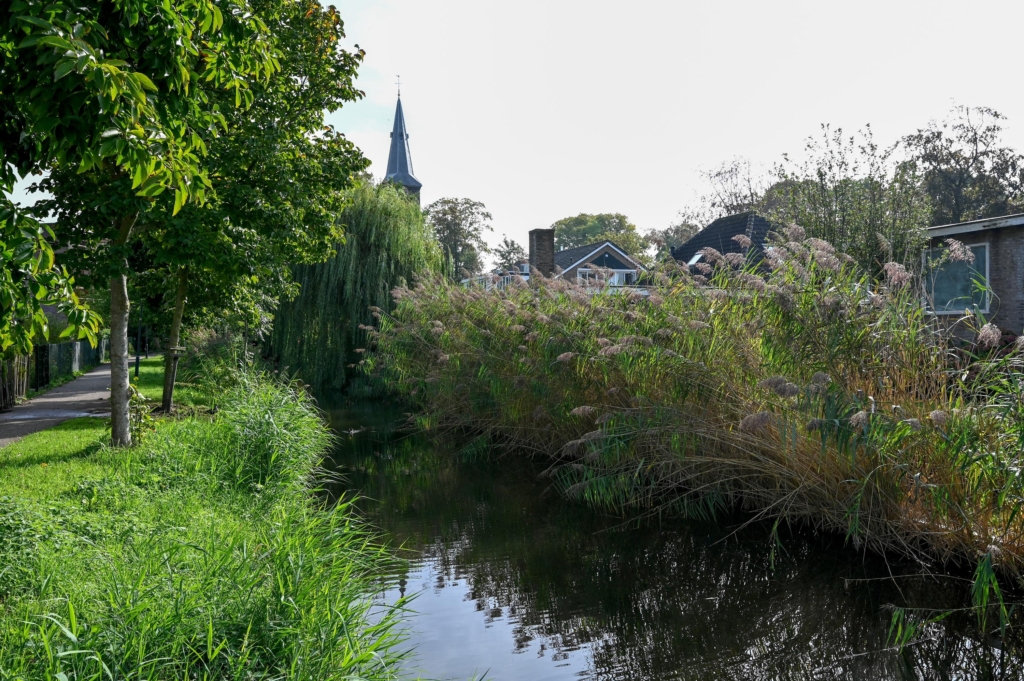 Torenweg 6 - foto 42