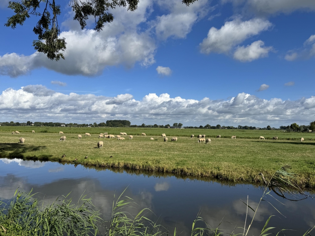 Pieter de Hooghlaan 1 - foto 6