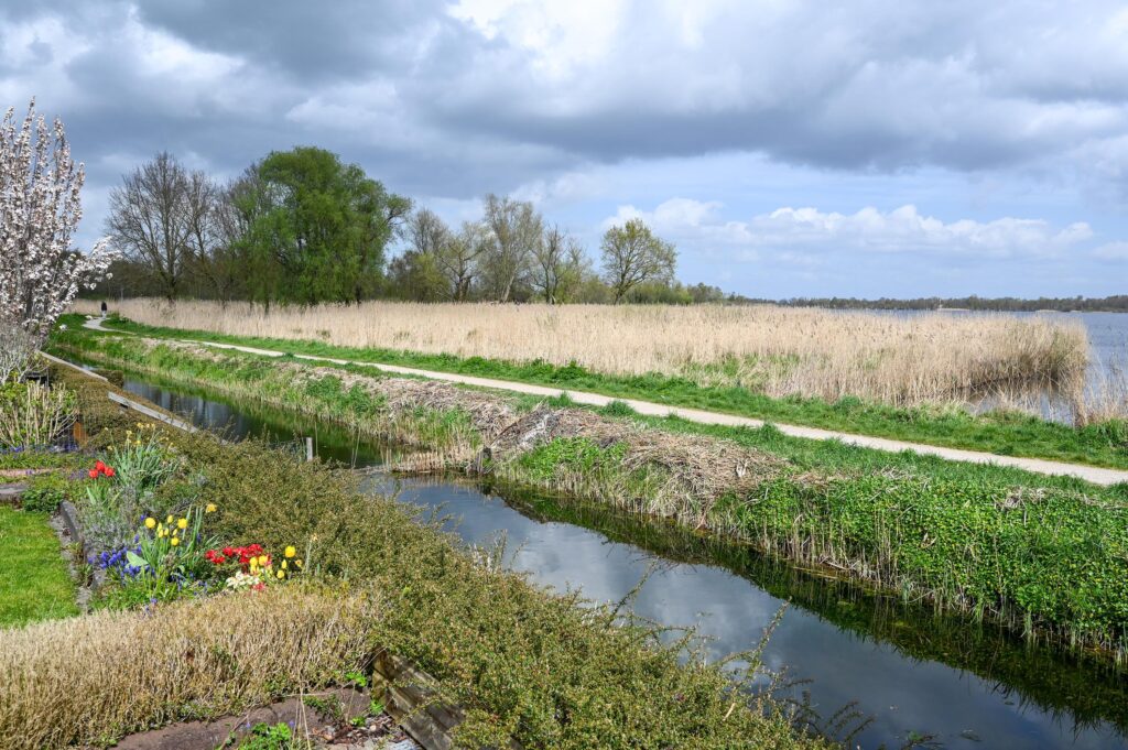 De Biezen 10 - foto 25