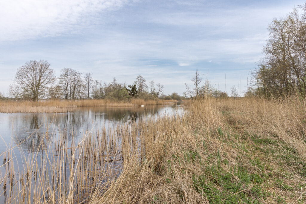De Biezen 10 - foto 34